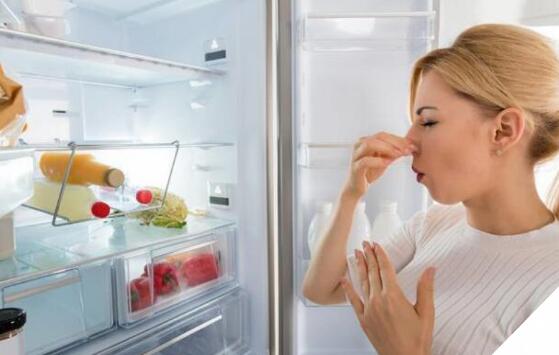 冰箱里的臭味 异味怎么快速去除