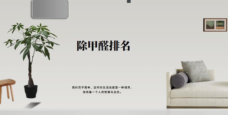 除甲醛公司十大品牌排名榜